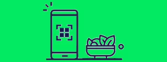mobile pay repas